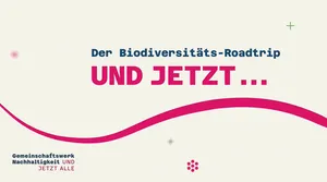 Trailer: Und jetzt... Der Biodiversitäts-Roadtrip